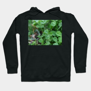 Finding  Luck 1 Hoodie